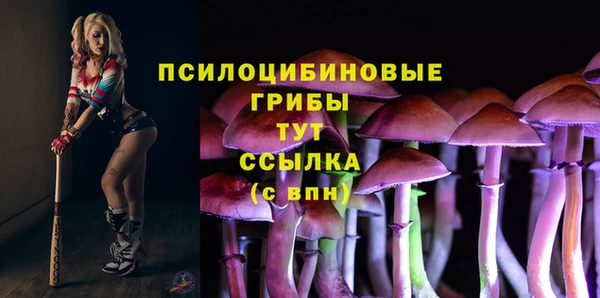 ECSTASY Бронницы