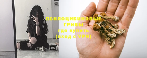 ECSTASY Бронницы