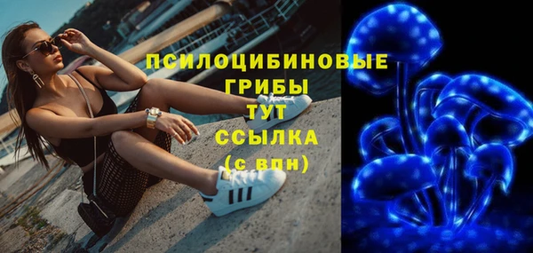 ECSTASY Бронницы