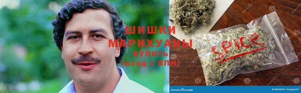 не бодяженный Бородино