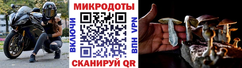 Купить где  Костерёво  Псилоцибиновые грибы GOLDEN TEACHER 